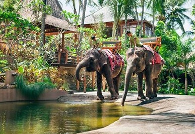حديقة الفيلة